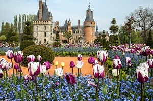 LES TULIPES DU PRINTEMPS, JARDINS A LA FRANCAISE REALISES EN 2013 SUIVANT LES PLANS D'EPOQUE D'ANDRE LE NOTRE COMMANDE PAR LOUIS XIV POUR FRANCOISE D'AUBIGNE, CHATEAU DE MAINTENON, EURE-ET-LOIR (28), FRANCE 