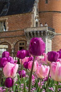 LES TULIPES DU PRINTEMPS, JARDINS A LA FRANCAISE REALISES EN 2013 SUIVANT LES PLANS D'EPOQUE D'ANDRE LE NOTRE COMMANDE PAR LOUIS XIV POUR FRANCOISE D'AUBIGNE, CHATEAU DE MAINTENON, EURE-ET-LOIR (28), FRANCE 