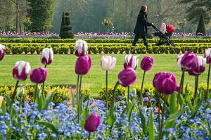 JEUNE MAMAN ET SA POUSSETTE DEVANT LES TULIPES DU PRINTEMPS, JARDINS A LA FRANCAISE REALISES EN 2013 SUIVANT LES PLANS D'EPOQUE D'ANDRE LE NOTRE COMMANDE PAR LOUIS XIV POUR FRANCOISE D'AUBIGNE, CHATEAU DE MAINTENON, EURE-ET-LOIR (28), FRANCE 