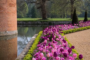 LES TULIPES DU PRINTEMPS, JARDINS A LA FRANCAISE REALISES EN 2013 SUIVANT LES PLANS D'EPOQUE D'ANDRE LE NOTRE COMMANDE PAR LOUIS XIV POUR FRANCOISE D'AUBIGNE, CHATEAU DE MAINTENON, EURE-ET-LOIR (28), FRANCE 
