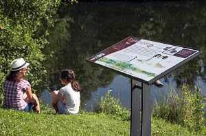 ZONE D'OBSERVATION DES OISEAUX DE LA GREBE HUPPE, BALADE NATURE AUTOUR DU PLAN D'EAU DE MEZIERES-ECLUZELLES, MEZIERES-EN-DROUAIS, EURE-ET-LOIR (28), FRANCE 