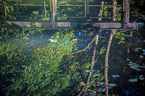 REFLET DE LA PASSERELLE SUR LES BORDS DU LOIR A ILLIERS-COMBRAY, VILLAGE D'ENFANCE DE MARCEL PROUST DECRIT DANS SON OUVRAGE 'A LA RECHERCHE DU TEMPS PERDU', EURE-ET-LOIR (28), FRANCE 
