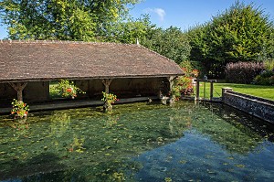 LES SOURCES DU LOIR A SAINT-EMAN, DECRIT PAR MARCEL PROUST DANS SON OUVRAGE 'A LA RECHERCHE DU TEMPS PERDU' COMME LES SOURCES DE LA VIVONE, EURE-ET-LOIR (28), FRANCE 