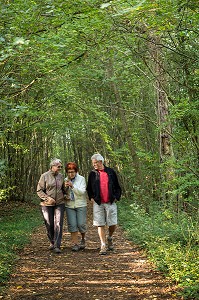 RANDONNEURS EN FORET, BONCOURT, EURE-ET-LOIR (28), FRANCE 