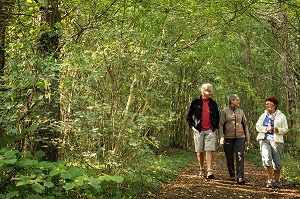 RANDONNEURS EN FORET, BONCOURT, EURE-ET-LOIR (28), FRANCE 