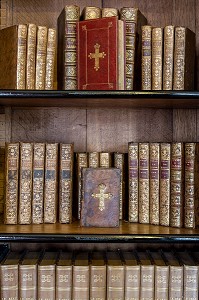 LIVRE DE NOAILLES DANS LA BIBLIOTHEQUE STYLE NAPOLEON III, CHATEAU DE MAINTENON, EURE-ET-LOIR, FRANCE 