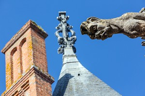 GARGOUILLE ET CHIMERE SUR LES  TOITS, CHATEAU DE MAINTENON, EURE-ET-LOIR (28), FRANCE 