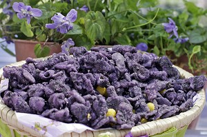 BONBONS A LA VIOLETTE, LA MAISON DE LA VIOLETTE, VILLE DE TOULOUSE, HAUTE-GARONNE (31), FRANCE 