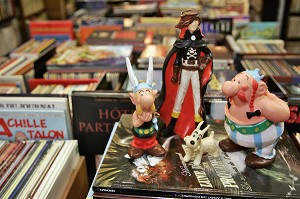 LIBRAIRIE 'LE PAPIVORE', SPECIALISTE DE LA BANDE DESSINEE (BD), VILLE DE TOULOUSE, HAUTE-GARONNE (31), FRANCE 