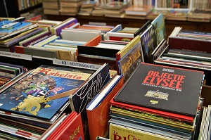 LIBRAIRIE 'LE PAPIVORE', SPECIALISTE DE LA BANDE DESSINEE (BD), VILLE DE TOULOUSE, HAUTE-GARONNE (31), FRANCE 