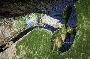 HELICE DE BATEAU DE PLAISANCE, PORT DES BAS-SABLONS, QUARTIER DE SAINT-SERVAN, SAINT-MALO, ILLE-ET-VILAINE (35), FRANCE 