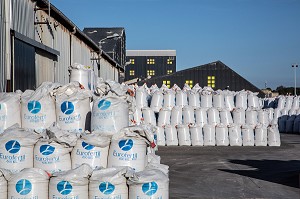 USINE ET DEPOT D'ENGRAIS CHIMIQUES DE FERTILISATION, PORT DE COMMERCE DE SAINT-MALO, ILLE-ET-VILAINE (35), FRANCE 