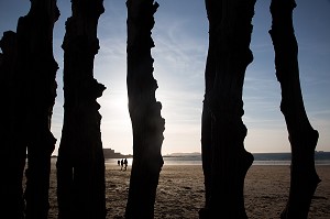 PIEUX EN BOIS DE CHENE POUR PROTEGER LA DIGUE ET LES MAISONS DES FLOTS A MAREE HAUTE, PLAGE DU SILLON, SAINT-MALO, ILLE-ET-VILAINE (35), FRANCE 