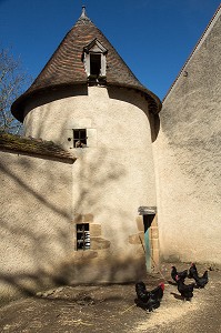 POULAILLER ET LES POULES NOIRES DU BERRY, DOMAINE GEORGE SAND, LA VALLEE NOIRE ET LE ROMANTISME DE GEORGE SAND DANS LE BERRY, NOHANT-VIC (36), FRANCE 