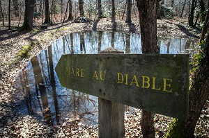 LA MARE AU DIABLE, FORET DE MERS-SUR-INDRE, TITRE DU ROMAN DE GEORGE SAND, LA VALLEE NOIRE DANS LE BERRY (36), FRANCE 