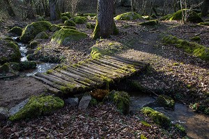 LE PARC DE PARELLES, ANCIENNE CARRIERE DE GRANIT, SOURCE D'INSPIRATION DES LEGENDES RUSTIQUES DE GEORGE SAND, CREVANT, LA VALLEE NOIRE DANS LE BERRY (36), FRANCE 