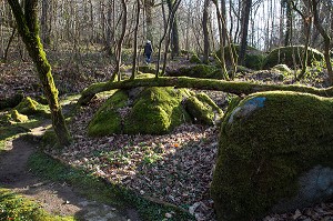 LE PARC DE PARELLES, ANCIENNE CARRIERE DE GRANIT, SOURCE D'INSPIRATION DES LEGENDES RUSTIQUES DE GEORGE SAND, CREVANT, LA VALLEE NOIRE DANS LE BERRY (36), FRANCE 