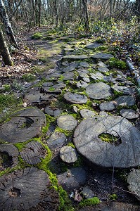 SENTIER EN RONDIN DE BOIS, LE PARC DE PARELLES, ANCIENNE CARRIERE DE GRANIT, SOURCE D'INSPIRATION DES LEGENDES RUSTIQUES DE GEORGE SAND, CREVANT, LA VALLEE NOIRE DANS LE BERRY (36), FRANCE 