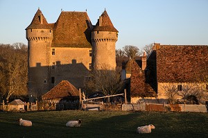 CHATEAU DE SARZAY, ANCIENNE FORTERESSE FEODALE DES 14 ET 15 EME SIECLE, LA VALLEE NOIRE DE GEORGE SAND DANS LE BERRY (36), FRANCE 