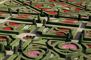 LES JARDINS DU PARC A L'ANGLAISE, CHATEAU DE VILLANDRY, INDRE-ET-LOIRE (37), FRANCE 