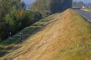 BALADE A VELO SUR LA LEVEE DE LA LOIRE AU PETIT MATIN, AMBOISE, INDRE-ET-LOIRE (37), FRANCE 