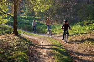 CYCLISTES EN BALADE EN FAMILLE SUR L'ITINERAIRE DE LA LOIRE A VELO, CANDES-SAINT-MARTIN, INDRE-ET-LOIRE (37), FRANCE 