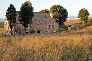 BURON DANS L'AUBRAC, NASBINALS, LOZERE, FRANCE 