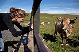 JEUNE FILLE PHOTOGRAPHIANT DES VACHES DE RACE AUBRAC, LOZERE, FRANCE 