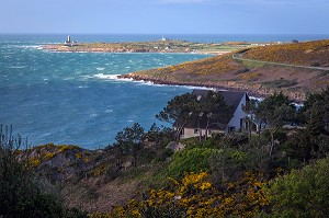 BORD DE MER AVEC AU LOIN LE PHARE DU CAP LEVI, MAUPERTUS-SUR-MER, MANCHE (50), FRANCE 