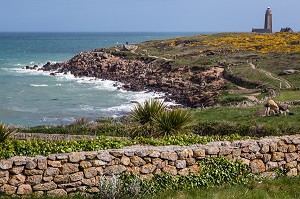 PAYSAGE LITTORAL AVEC VUE SUR LE PHARE DU CAP LEVI, FERMANVILLE, MANCHE (50), FRANCE 