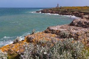 PAYSAGE LITTORAL AVEC VUE SUR LE PHARE DU CAP LEVI, FERMANVILLE, MANCHE (50), FRANCE 