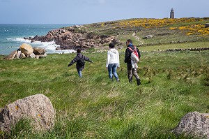 BALADE EN BORD DE MER PRES DU PHARE DU CAP LEVI, PAYSAGE LITTORAL AVEC DES GENETS EN FLEURS, FERMANVILLE, MANCHE (50), FRANCE 