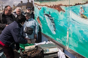 DEBARQUEMENT DES PECHEURS ET VENTE DE POISSONS A LA CRIEE, PORT DE BARFLEUR, LABELLISE PLUS BEAU VILLAGE DE FRANCE, MANCHE (50), FRANCE 