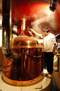 BRASSEUR DE BIERE ARTISANALE, BAR BRASSERIE 'AUX TROIS BRASSEURS', LILLE, NORD (59), FRANCE 