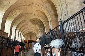 CHEVAUX ET VISITEURS DANS LES ECURIES, NOUVEAU MUSEE DU CHEVAL, OUVERT EN 2013, ABRITE DANS LES GRANDES ECURIES DU DOMAINE DU CHATEAU DE CHANTILLY, OISE (60), FRANCE 