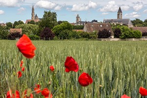 VUE GENERALE DE LA VILLE DE SENLIS AVEC SES CLOCHERS, DEPUIS LA UN CHAMP DE BLE, SENLIS, OISE (60), FRANCE 