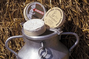 LE VRAI CAMEMBERT AU LAIT CRU DE DURAND, CAMEMBERT, ORNE (61), NORMANDIE, FRANCE 