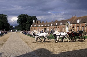 ATTELAGE DE CHEVAUX PERCHERONS, HARAS DU PIN, ORNE (61), NORMANDIE, FRANCE 