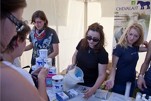 CONGRES MONDIAL DU CHEVAL PERCHERON, NORMANDIE, FRANCE 