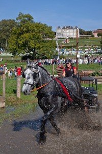 CONGRES MONDIAL DU CHEVAL PERCHERON, NORMANDIE, FRANCE 