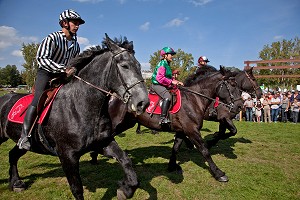 CONGRES MONDIAL DU CHEVAL PERCHERON, NORMANDIE, FRANCE 