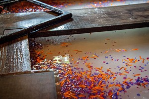 FABRICATION DE PAPIER DECORE DE FLEURS FRAICHES, MOULIN A PAPIER RICHARD DE BAS, MUSEE HISTORIQUE DU PAPIER, AMBERT, PUY-DE-DOME (63), FRANCE 