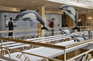 GALERIE DES CETACES, MUSEE DE LA MER DE BIARRITZ, PAYS BASQUE, COTE BASQUE, BIARRITZ, PYRENEES ATLANTIQUES, (64), FRANCE 