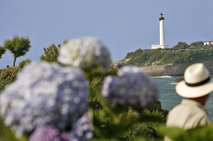 PHARE ET HORTENSIA EN FRONT DE MER, BIARRITZ, PAYS BASQUE, COTE BASQUE