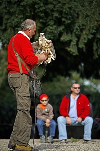 VOLERIE DES AIGLES DE KINTZHEIM, KINTZHEIM, BAS RHIN (67), ALSACE, FRANCE, EUROPE 