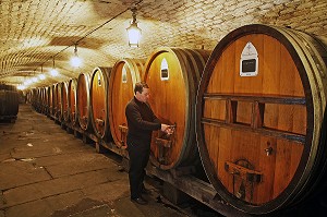 CAVE HISTORIQUE DES HOSPICES DE STRASBOURG, STRASBOURG, BAS RHIN (67), ALSACE, FRANCE, EUROPE 