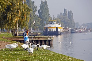 CYGNES, NAVISCOPE ALSACE, MUSEE DU RHIN ET DE LA NAVIGATION, QUAI DES BELGES, STRASBOURG, BAS RHIN (67), ALSACE, FRANCE, EUROPE 