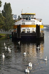 CYGNES, NAVISCOPE ALSACE, MUSEE DU RHIN ET DE LA NAVIGATION, QUAI DES BELGES, STRASBOURG, BAS RHIN (67), ALSACE, FRANCE, EUROPE 