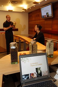 'L'ECOLE DE LA BIERE', EXPLICATION AUTOUR DE L'ELABORATION DE LA BIERE, BRASSERIE KRONENBOURG, CATHEDRALE DE STRASBOURG, STRASBOURG, BAS RHIN (67), ALSACE, FRANCE, EUROPE 