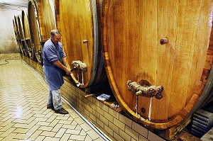 CAVE DOMAINE ROLLY GASSMANN, RORSCHWIHR, ROUTE DES VINS D'ALSACE, HAUT-RHIN (68), ALSACE, FRANCE 